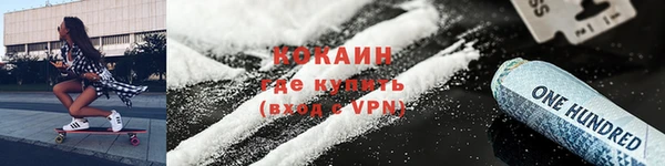 не бодяженный Заводоуковск