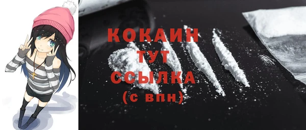 не бодяженный Заводоуковск