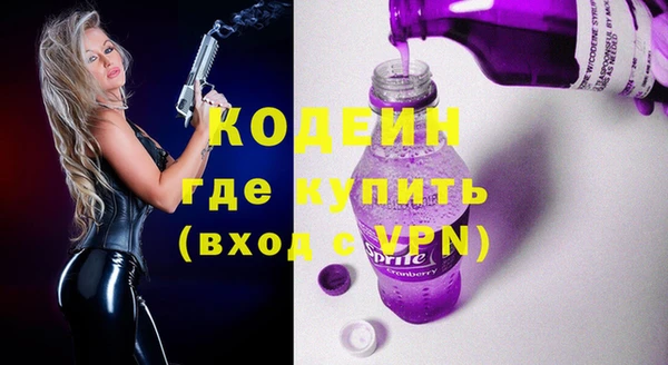 не бодяженный Заводоуковск