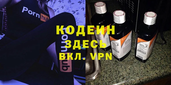 не бодяженный Заводоуковск